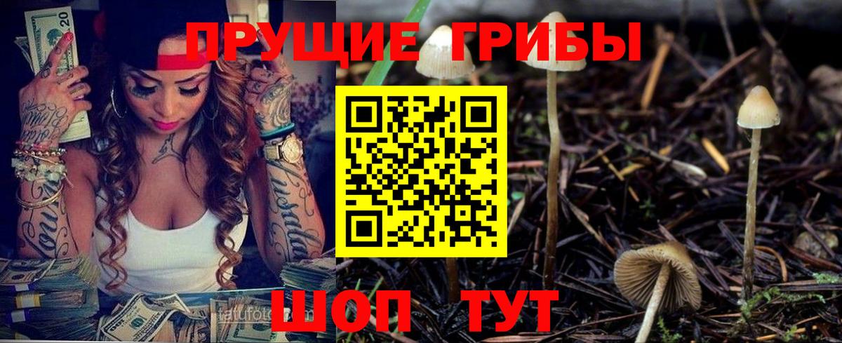 Советская Гавань  Галлюциногенные грибы мицелий  Вход с VPN 
